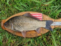 커뮤니티 > 자유게시판 > 이건 뭐죠? 커뮤니티 > 자유게시판 > 이건 뭐죠? 