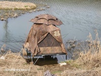 커뮤니티 > 자유게시판 > 말뚝..