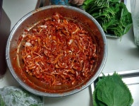 커뮤니티 > 자유게시판 > 사랑 사랑 누가 보냈나?