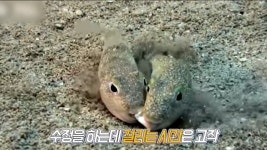 커뮤니티 > 자유게시판 > ♥ 월척자게방 회원만 알수있는 ....