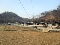 커뮤니티 > 자유게시판 > 고향 마을 커뮤니티 > 자유게시판 > 고향 마을 
