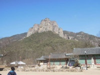 커뮤니티 > 자유게시판 > 주왕산 품에 안겼다 오다.