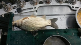 커뮤니티 > 자유게시판 > 꺄오~~~