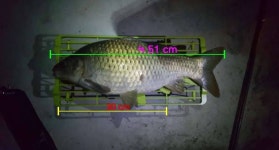 커뮤니티 > 자유게시판 > 관리형 저수지에서 잡은 5자