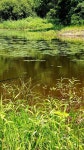 조황조행기 > 화보조행기 > 산속~놀이터