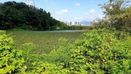 조황조행기 > 화보조행기 > 노지캠핑