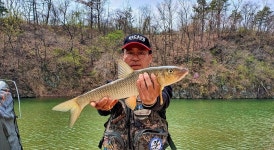 조황조행기 > 화보조행기 > 초평천, 봄을 낚다.