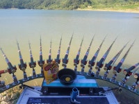 조황조행기 > 화보조행기 > 배수중인 계곡지에서의 힐링이야기