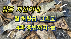 조황조행기 > 화보조행기 > 지선이네 대물들