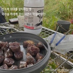 조황조행기 > 화보조행기 > 막걸리 한잔