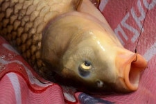 조황조행기 > 화보조행기 > 이번주는 성암지를 다녀왔습니다.