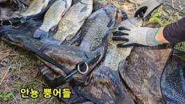 조황조행기 > 화보조행기 > 배수중인 계곡지