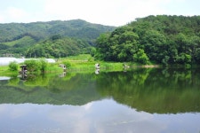 조황조행기 > 화보조행기 > 붕어 도장깨기. #바램