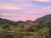 조황조행기 > 화보조행기 > 배수중인 계곡지에서의 힐링이야기