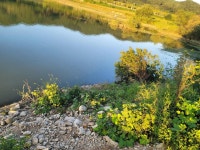 조황조행기 > 화보조행기 > 배수중인 계곡지에서의 힐링이야기