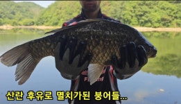 조황조행기 > 화보조행기 > 배수중인 계곡지