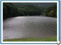 조황/조행기 > 습작 조행기 > 진짜붕어 방방곡곡 제34부 (양산계곡지편)