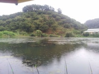 낚시터가는길 > 조황문의 > 바탕골 입니다