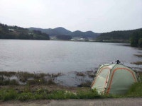 조황/조행기 > 낚시점 조황 > 서,태안권 출조시 참고하시기 바랍니다.