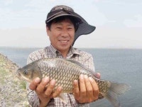조황/조행기 > 낚시점 조황 > 천수만[부남호] 6월17일 43cm와 대물 조황