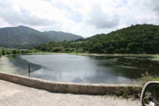 조황조행기 > 낚시점 조황 > 경산권 현제 소류지 상황 올려 드립니다.