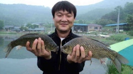조황조행기 > 낚시점 조황 > 안녕하세요 의성ic대구낚시입니다.