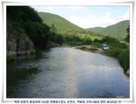 조황조행기 > 낚시점 조황 > 엄청난 대물들이 ~~