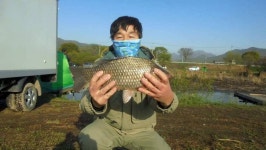 조황조행기 > 낚시점 조황 > 입석및 월상권 사짜조황..