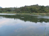 조황조행기 > 낚시점 조황 > 저수위와 만수위조황