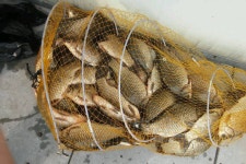 낚시터가는길 > 같이갈까요? > 부여 반산지상황좀 부탁드립니다