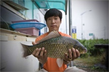 낚시터가는길 > 같이갈까요? > KBFC(황제조우회) 시조회 공지