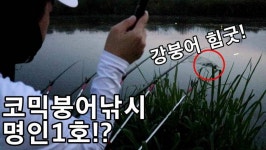 커뮤니티 > 낚시동영상 > 청주수로 강붕어!