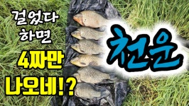 커뮤니티 > 낚시동영상 > 걸면 4짜 대물붕어!!천운이다!!!