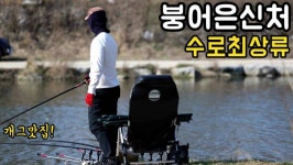 커뮤니티 > 낚시동영상 > 보은수로 최상류