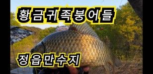 커뮤니티 > 낚시동영상 > [붕어타짜] 정읍만수지