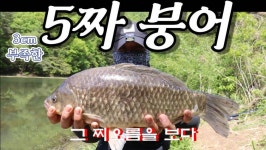 커뮤니티 > 낚시동영상 > 진천 옥산지 대물붕어