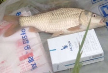 낚시터가는길 > 낚시터 소개 > 와촌 월곡지.....