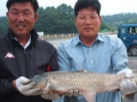 유료터정보 > 유료터 홍보 > 여름 휴가 광덕에서 이벤트와  함께 하세요...