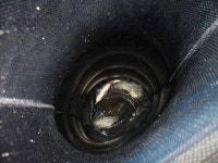 유료터정보 > 유료터 홍보 > 정동실내낚시터에 방류한 붕어들이 난리랍니다.