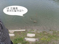 유료터정보 > 유료터 홍보 > 가곡지 대물 인물 함 보실라우~*^^* 유료터정보 > 유료터 홍보 > 가곡지 대물
