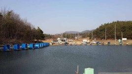유료터정보 > 유료터 홍보 > 경주동산낚시터 - 2014년 마무리 -