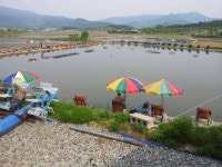 유료터정보 > 유료터 홍보 > 남상주 낚시터 역돔낚시합니다~