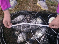 유료터정보 > 유료터조행기 > 경주 동산낚시터에서의 하루