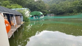 유료터정보 > 유료터조행기 > 구봉낚시터 ㅡ 외유내강