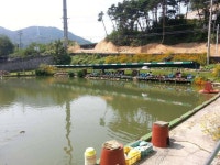 유료터정보 > 유료터조행기 > 추석연휴 첫날을 옥포랜드에서