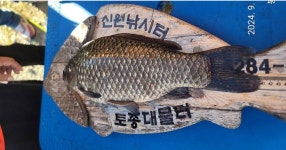 유료터정보 > 유료터조행기 > 사짜가 쏟아지는 낚시터(용인 신원낚시터)