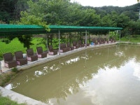 유료터정보 > 유료터조행기 > 8/7일 띄밭낚시터 조행기