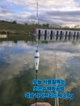 유료터정보 > 유료터조행기 > 광탄낚시터 조행기