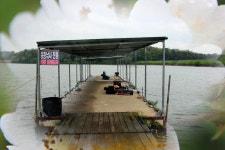 유료터정보 > 유료터조행기 > 비가와도 - 만정낚시터