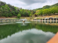 유료터정보 > 유료터조행기 > 여주 관관농원 낚시터 낚시 여행